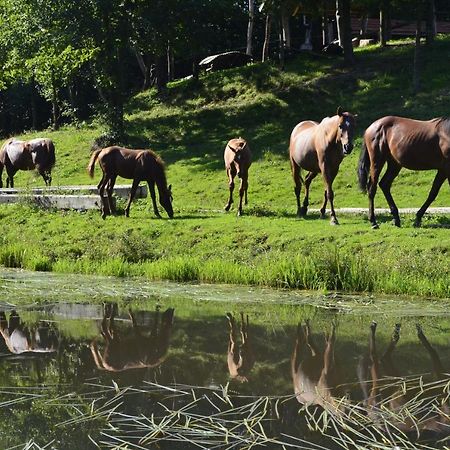 Gospodarstwo Agroturystyczne "Paryja" Olpiny Eksteriør bilde