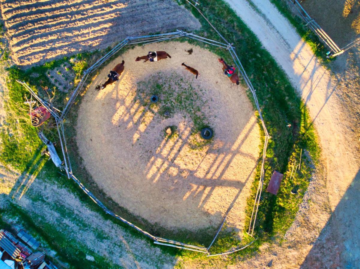 Gospodarstwo Agroturystyczne "Paryja" Olpiny Eksteriør bilde